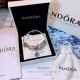 AAA Replica Pandora Charms Bracelet For Women (2)_th.jpg